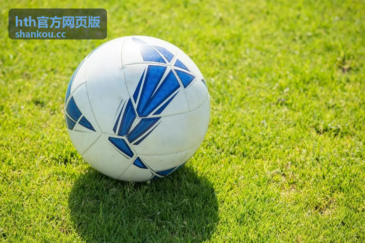hth官方网页版启动流畅性展示