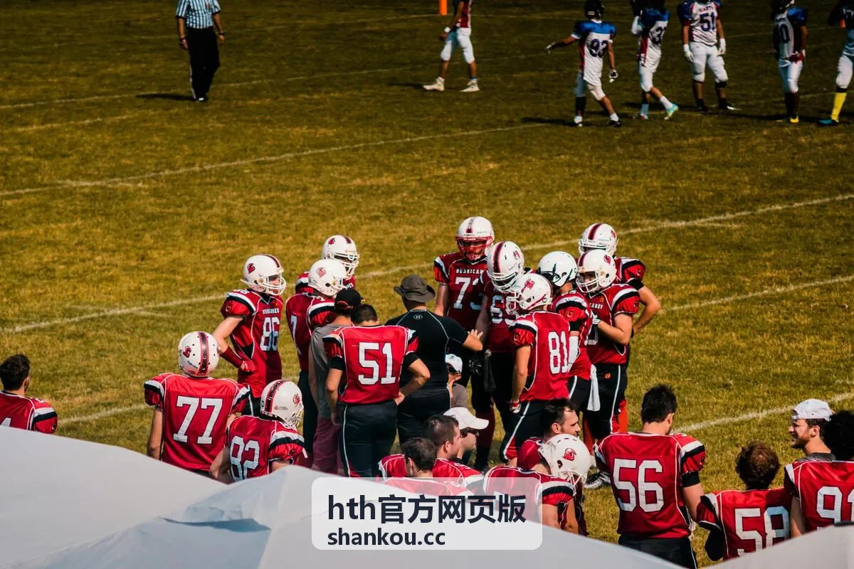 hth官方网页版主界面总览